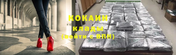 тгк Абаза